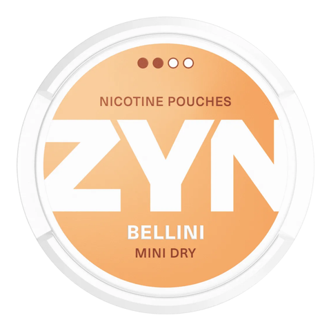 Exploring Zyn Flavors: A Guide to Popular Choices and New Discoveries
